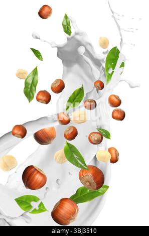 Nut milk splash with hazelnuts and green leaves in air on white background Stock Photo