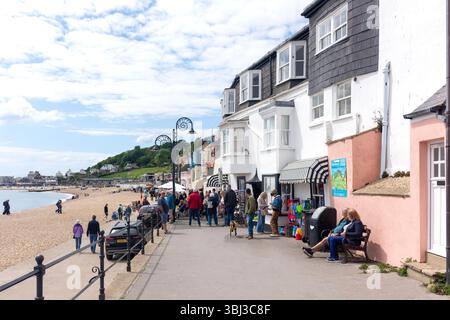 Fish & Chip and ice cream shop, Marine Parade, Sandy Beach, Lyme Regis, Dorset, England, United Kingdom Stock Photo