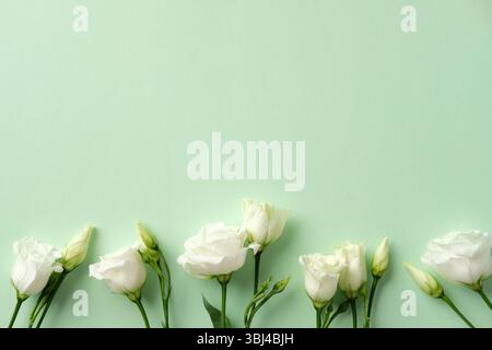 Elegant white lisianthus flowers on a light green background Stock Photo