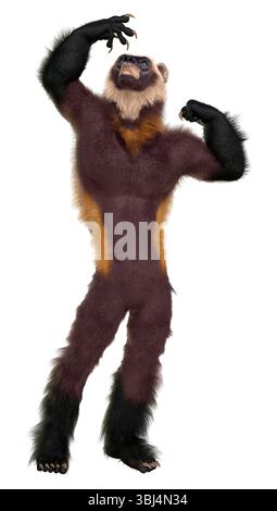 3D rendering of a wolverine man isolated on white background Stock ...