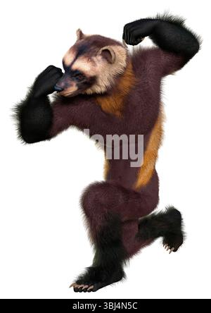 3D rendering of a wolverine man isolated on white background Stock ...