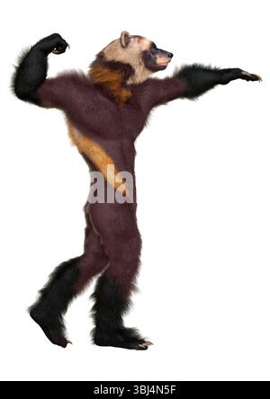 3D rendering of a wolverine man isolated on white background Stock ...