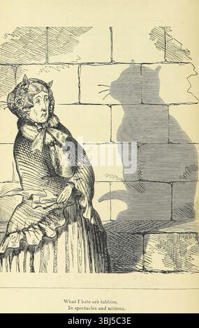 What I hate are tabbies, in spectacles and mittens, 1875. Misogynistic cartoon. The word Tabby, a pet form of the fem. proper name Tabitha, was late 18th century slang for "spiteful spinster, difficult old woman" (as in Tabbyhood "condition of being an old maid," 1793). Page 52 of "Love Lyrics and Valentine Verses, for young and old [E. M. Davies. With illustrations.]", 1875. [London, England] Stock Photo