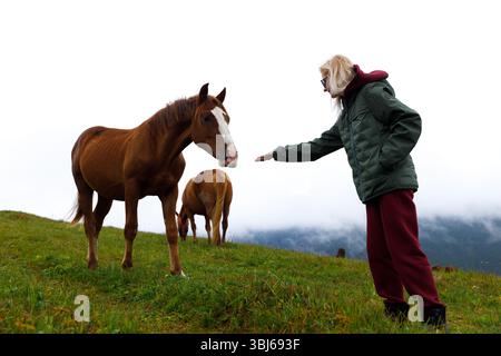The image showcases a person reaching out to a horse in an open field. The serene atmosphere highlights the bond between humans and animals in a beaut Stock Photo