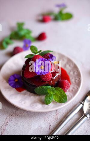 Chocolate and raspberry individual pudding dessert served with raspberry coulis. Stock Photo