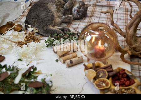 Cozy scene featuring a gray cat peacefully sleeping on a wooden table next to a burning handmade aromatherapy candle and dried flower wreath materials Stock Photo
