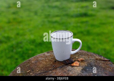 The image captures a simple yet serene outdoor setting showcasing a white coffee mug placed atop a wooden log with lush green grass in the background, Stock Photo