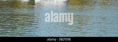 Water fragment showing micro waves and abstract reflection on calm river surface. Stock Photo