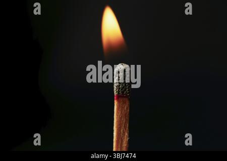 Single wooden match burning with bright flame on black background Stock Photo
