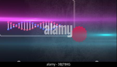 Displaying DNA helix featuring pink and blue spheres in digital studio, with red gear emblem Stock Photo