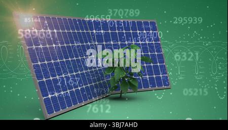 Showing solar panel and plant standing on green backdrop, with data overlays, waveforms, lens flare Stock Photo