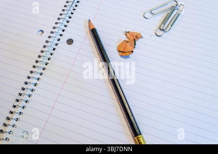 Sharpened pencil, shavings and paperclips on a blank wire-bound notebook lined page Stock Photo