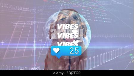 Displaying golden retriever in interface wearing globe overlay with code streams and heart icon 25 Stock Photo