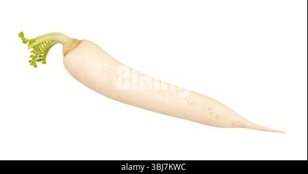 daikon radish path isolated on white Stock Photo