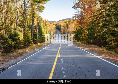 Deserted stretch of a mountain road through woodland at sunset in autumn Stock Photo