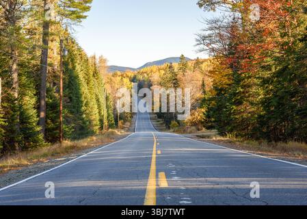 Deserted mountain road through forest in sunset light in autumn Stock Photo