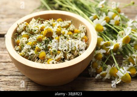 Dry chamomiles in bowl and fresh flowers on wooden table, closeup Stock Photo