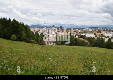 grassy field and the skyline of Ljublana in Slovenia Stock Photo