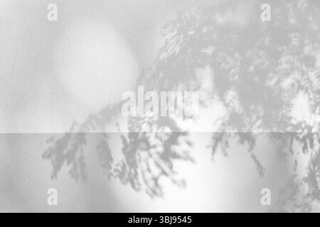 trees branch and leaf with shadow on a white concrete wall. Stock Photo