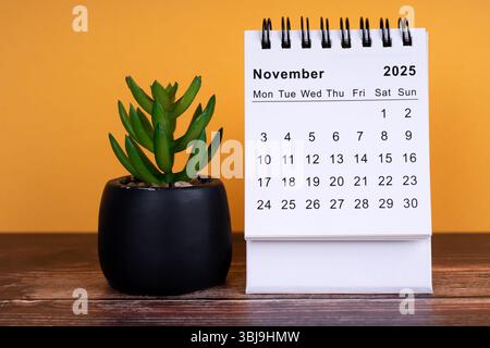 november 2025 desk calendar with green flower pot on wooden table with orange background Stock Photo
