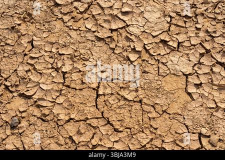 Close up of dried mud with cracks. Stock Photo