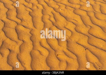 Sands wave texture of desert sand dunes at dusk. Stock Photo