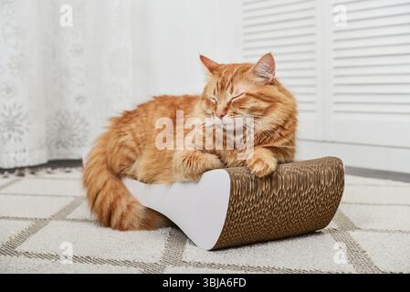 Cute ginger cat lying on the modern cardboard scratching post closeup Stock Photo