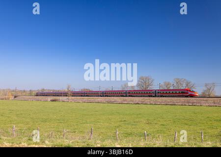 Red high speed train traveling through green field under blue sky Stock Photo