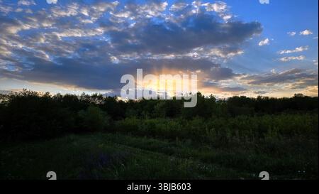 Sunbeams burst through clouds above a dense green forest and wildflower meadow at sunset, painting the sky with gold and blue hues and casting long Stock Photo