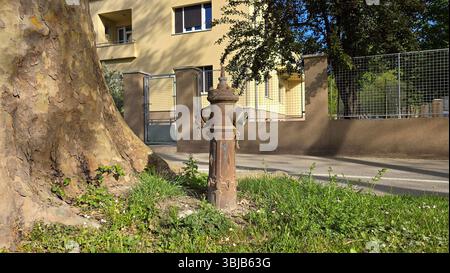 Old rusty fire hydrant stands next to a large tree trunk on a grassy patch, with a yellow apartment building, metal fence, and sidewalk in the back Stock Photo