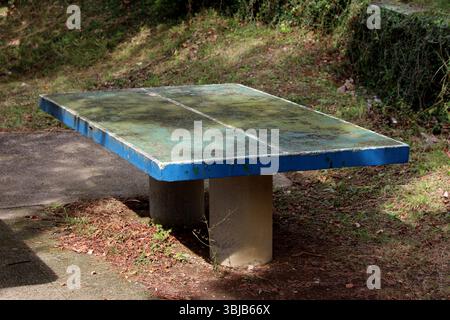 Old concrete ping pong table with faded blue edges and mossy surface stands on a patch of worn ground in a park, surrounded by grass, leaves Stock Photo