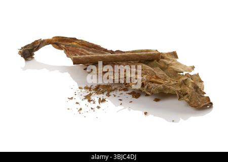 cigarette leave smoke smoking smokes fume leaf culture plant green leaves useful Stock Photo Amazon.com: Stop Smoking Aids that