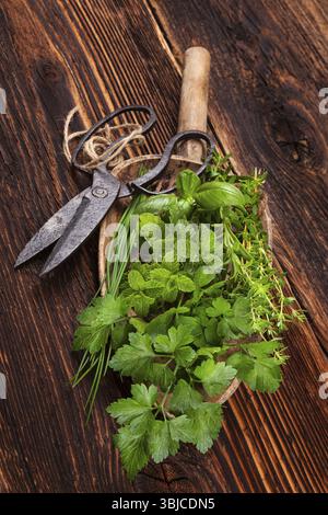 Various aromatic culinary herbs. Thyme, marjoram, basil, mint, chives and parsley on wooden plate on old brown wooden background. Rustic, vintage, nat Stock Photo