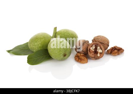 Whole ripe and cracked walnuts isolated on white background Stock Photo