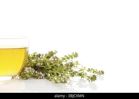 Wild Thyme tea with fresh flowers isolated on white background Stock Photo