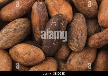 Macro detail of unpeeled cocoa beans background from above. Flat lay Stock Photo