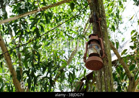 Close-up of vintage kerosene oil lantern lamp hanging in the garden Stock Photo