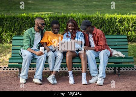 African American multiracial students researching on laptop, discuss project, digital nomad in park Stock Photo