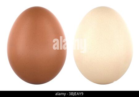Brown and white chicken eggs front view. 3D rendering isolated on white background Stock Photo