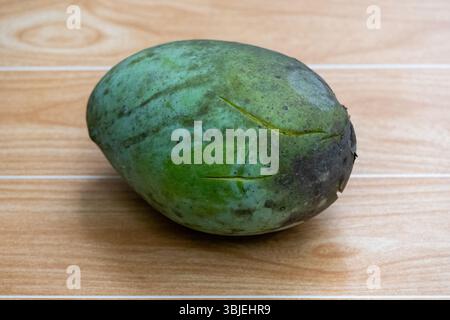 Large raw green mango (Mangifera indica) on wood. Cracked fruit, recently fallen from the tree. Stock Photo