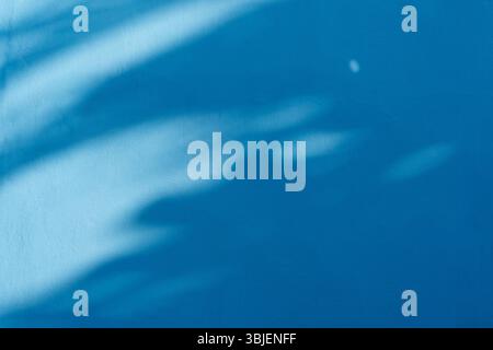 Tree shadow and leaf branch on blue cement wall background. Nature leaves tree branch dark shadow and light from sunlight. Stock Photo