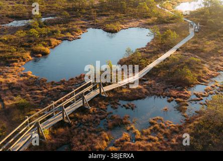 Elevated Boardwalk through Kemeri Bog in Kemeri National Park, Latvia Stock Photo