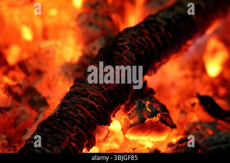 A charred log burns among glowing orange embers and ash, with intense heat and vivid colors, showing the dynamic texture of wood and fire in a close-u Stock Photo
