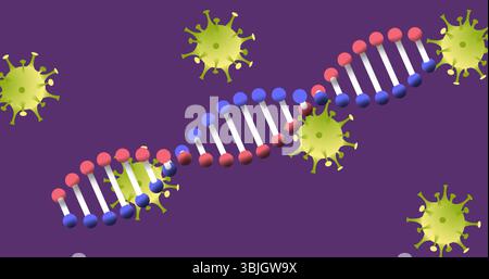 Displaying stylized DNA helix graphic against solid purple backdrop, with green virus particles Stock Photo