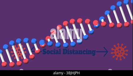 Showing DNA double helix twisting on purple field, with Social Distancing text arrow to virus icon Stock Photo