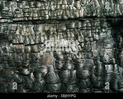Close-up of charred wooden planks after a fire. Background Stock Photo