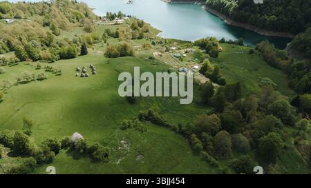 Aerial view of a forest clearing with stacks of freshly cut timber and ...