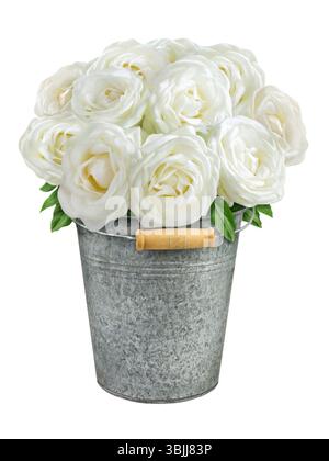 Roses isolated on white background Stock Photo