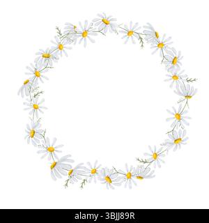 Delicate daisies with white petals, round frame, cute wreath. Watercolor illustration. Meadow and wildflowers are isolated on white background. Theme Stock Photo