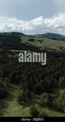 Aerial panorama of dense pine forest and grassy hills in the Zlatibor region of Serbia during spring. Vertical view. Stock Photo